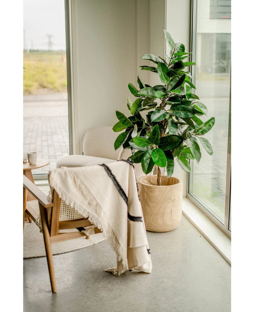 In einer gemütlichen Ecke stehen ein Stuhl mit einer cremefarbenen Decke, ein kleiner runder Tisch und die künstliche Gummipflanze 150 cm in eleganten Töpfen neben raumhohen Fenstern, die den Raum mit natürlichem Licht füllen.