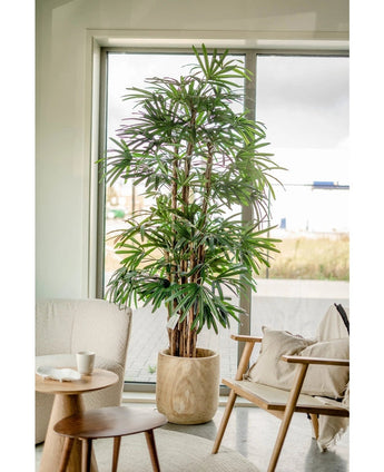Eine 210 cm hohe künstliche Palme „Lady“ steht neben einem Fenster in einem hellen, modernen Wohnzimmer mit gepolstertem Stuhl, kleinem runden Tisch und neutraler Einrichtung.
