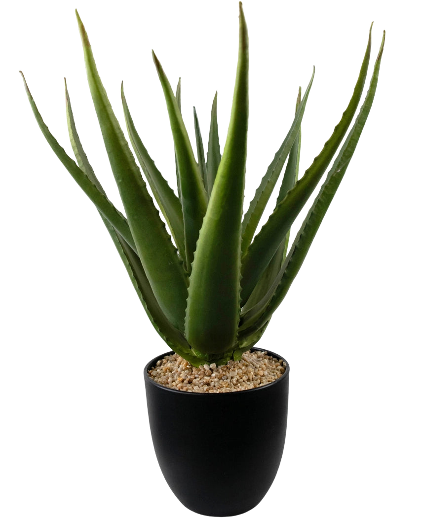 Eine Nahaufnahme der Kunstpflanze Aloe Vera 45 cm zeigt dicke, grüne, stachelige Blätter in einem schwarzen Topf, gefüllt mit kleinen hellbraunen Kieselsteinen.