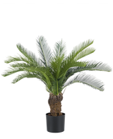 Die künstliche Cycas-Palme 80 cm hat einen langen, gebogenen grünen Palmfarn und einen dicken, strukturierten Stamm. Die Pflanze steht in einem einfachen schwarzen Topf vor einem schlichten weißen Hintergrund.
