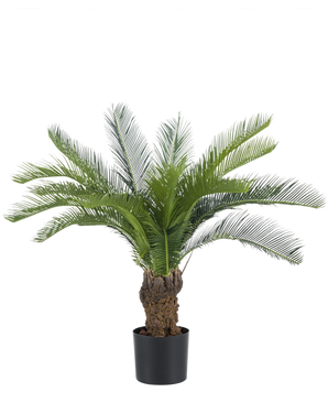Die künstliche Cycas-Palme 80 cm hat einen langen, gebogenen grünen Palmfarn und einen dicken, strukturierten Stamm. Die Pflanze steht in einem einfachen schwarzen Topf vor einem schlichten weißen Hintergrund.