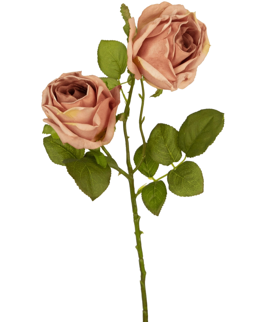 Die Kunstrose Deluxe 55 cm rosa besteht aus zwei rosa-braunen Kunstrosen mit grünen Blättern an einem einzigen Stiel, die einen auffälligen Kontrast zu einem schlichten weißen Hintergrund bilden.