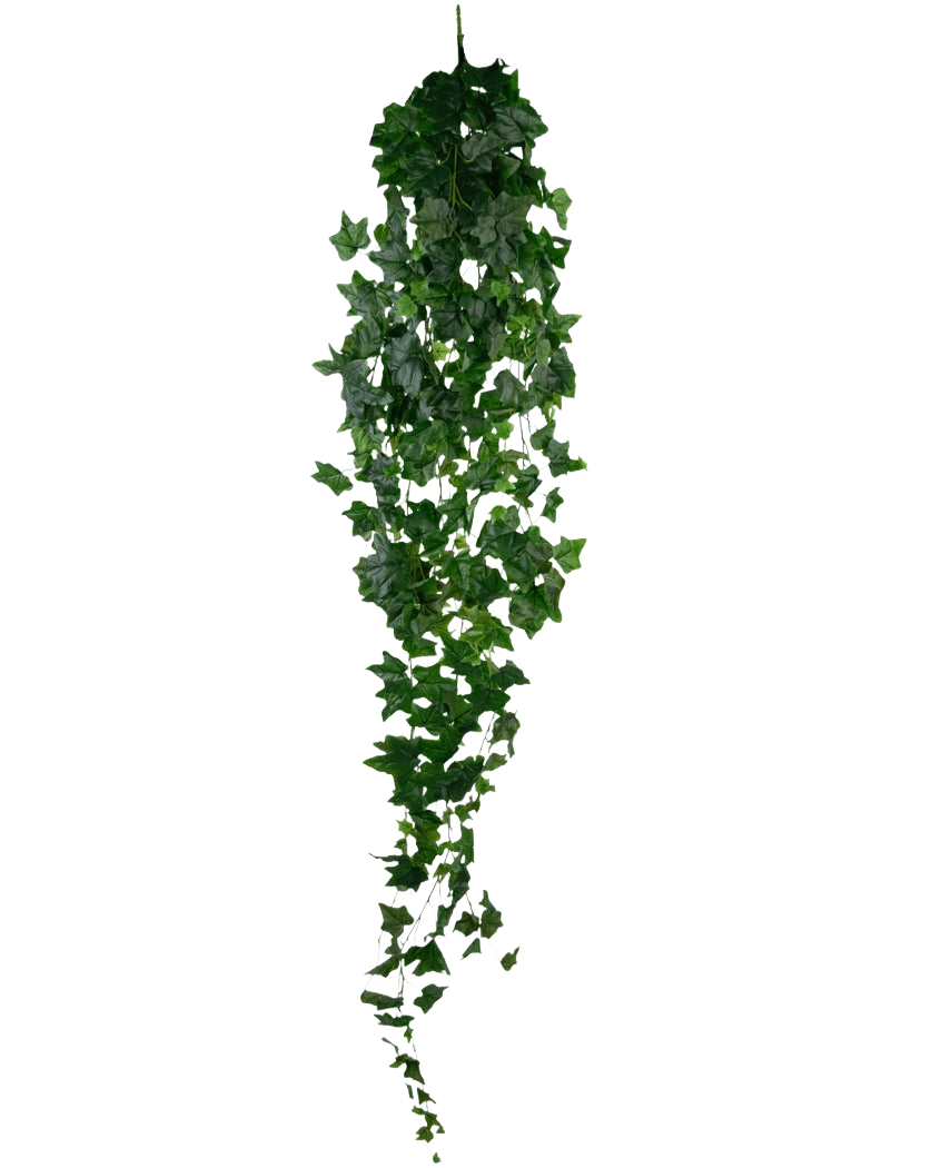 Der künstliche Efeu 180 cm grün ist ein einzelner grüner künstlicher Efeu mit dichten, spitzen Blättern, der vertikal vor einem schlichten weißen Hintergrund hängt.