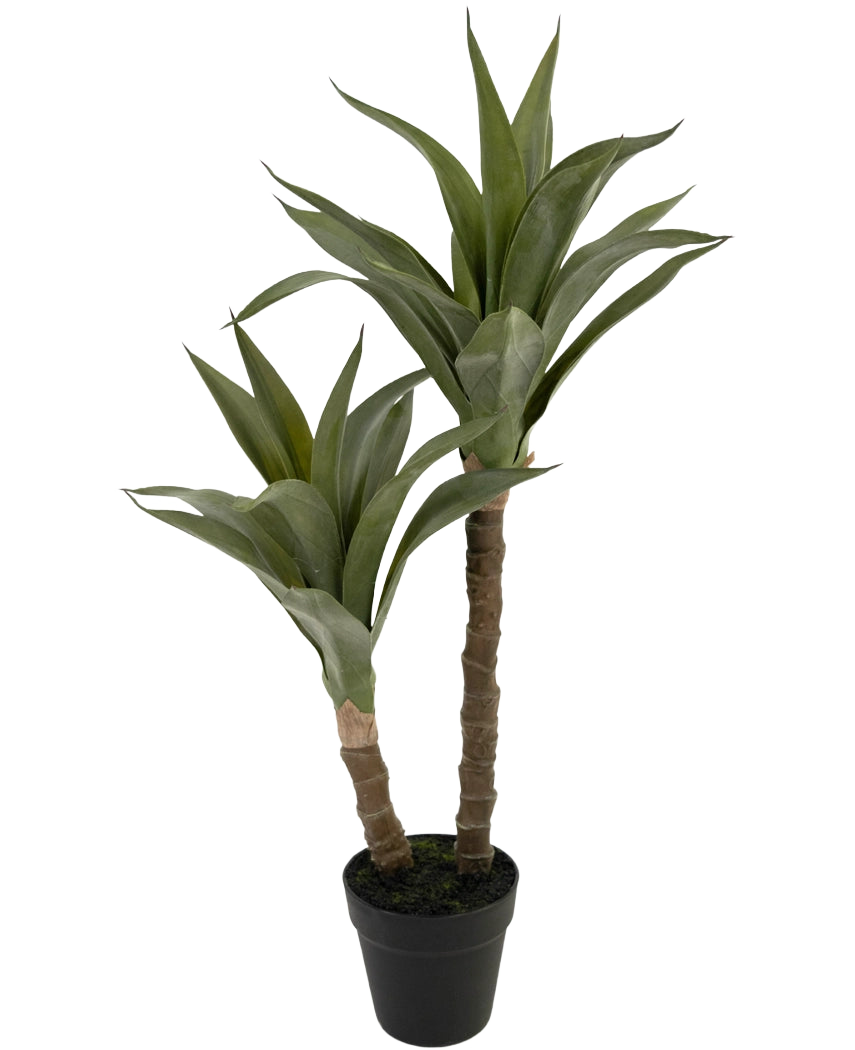 Die Kunstpflanze Agave 76 cm hat zwei lange, dicke Stängel mit spitzen grünen Blättern, die einer Agave ähneln, präsentiert in einem schwarzen Plastiktopf vor einem schlichten weißen Hintergrund.