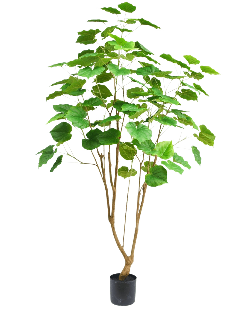 Die Kunstpflanze Ficus 180 cm ist eine hohe Zimmerpflanze in einem Topf mit mehreren schlanken braunen Stielen und großen grünen Blättern, dargestellt vor einem schlichten weißen Hintergrund.