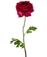 Die künstliche Ranunkelblume 51 cm dunkelrosa ist eine künstliche dunkelrosa Ranunkel mit geschichteten Blütenblättern, einem langen grünen Stiel und tief gelappten grünen Blättern, isoliert auf einem weißen Hintergrund.
