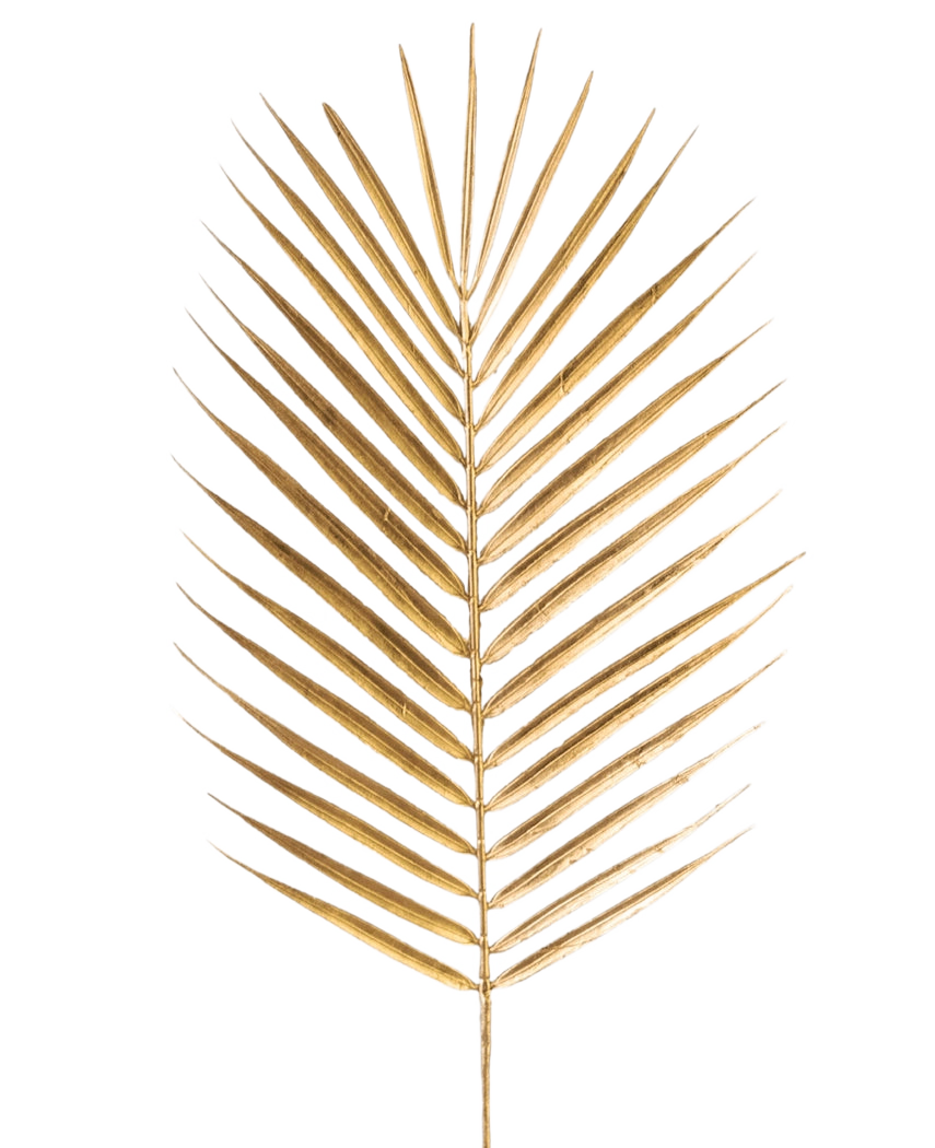 Der künstliche Zweigfarn 64 cm gold hat ein einzelnes goldenes Palmenblatt mit langen, schlanken Blättern auf einem schlichten weißen Hintergrund.