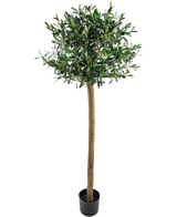 Der künstliche Olivenbaum UV 150 cm von Easyplants hat einen schlanken Stamm, volle grüne Blätter und steht in einem schwarzen Topf vor weißem Hintergrund. Diese UV-beständige Kunstpflanze ist perfekt für jeden Raum.