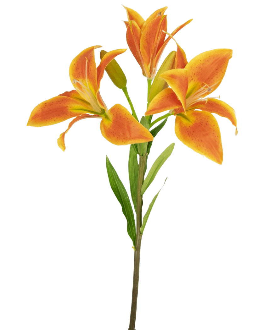 Die Kunstblume Asiatische Lilie 66 cm orange hat einen einzelnen Stiel mit drei offenen orangefarbenen Lilien, einer ungeöffneten Knospe und grünen Blättern vor einem hellen Hintergrund.