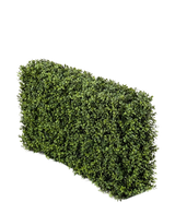 Die künstliche Buchsbaumhecke UV 100x20x50 cm hat eine dichte, grüne rechteckige Hecke vor einem schlichten weißen Hintergrund.
