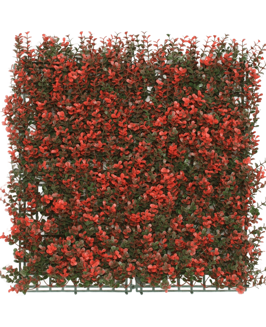 Die künstliche Hecke Buchsbaum rot 50x50 cm UV ist eine quadratische künstliche grüne Platte mit dichten kleinen grünen Blättern und roten Blütenbüscheln, ideal als Dekoration oder Sichtschutz.