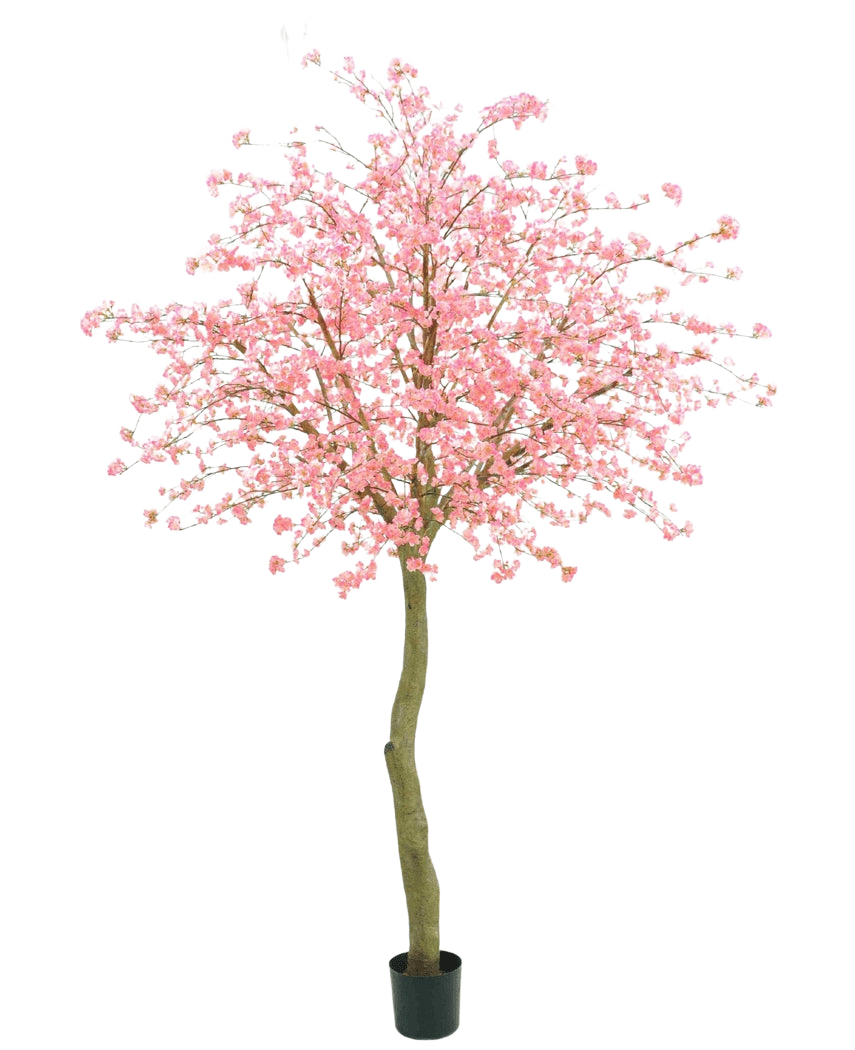 De Kunstboom Kersenbloesem roze 330 cm heeft een gebogen bruine stam en overvloedige roze bloemen tegen een effen witte achtergrond.