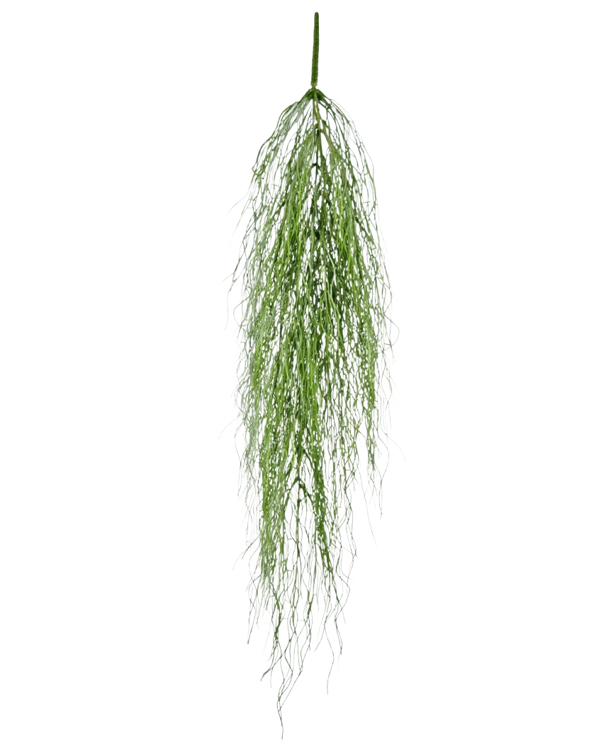 Die künstliche Hängepflanze Kelpgras 91 cm hat einen einzelnen Stiel aus flauschig grünem Kunstlaub mit langen, dünnen Blättern, die anmutig vor einem schlichten weißen Hintergrund fallen.