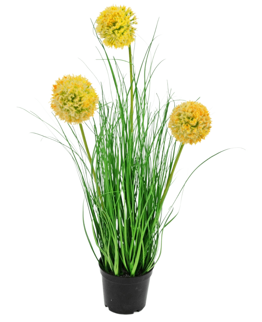 Die feuerhemmende Kunstrasenpflanze Zwiebel 50 cm hat lange, dünne grüne Blätter und drei runde, gelbe, flauschige Blüten an hohen Stielen, die vor einem schlichten weißen Hintergrund grünen Gartencharme verleihen.