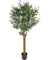 Der künstliche Olivenbaum UV 155 cm ist eine künstliche Pflanze von Easyplants in einem Topf mit einem hohen braunen Stamm, dichten grünen Blättern und kleinen schwarzen Oliven, elegant vor einem schlichten weißen Hintergrund.