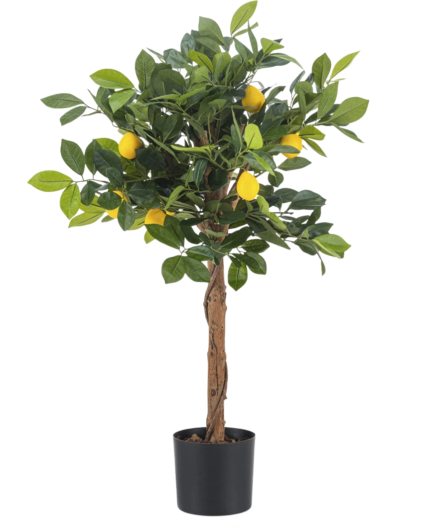 Der künstliche Zitronenbaum 75 cm ist ein kleiner künstlicher Zitronenbaum mit braunem Stamm, grünen Blättern und mehreren gelben künstlichen Zitronen vor einem schlichten weißen Hintergrund.