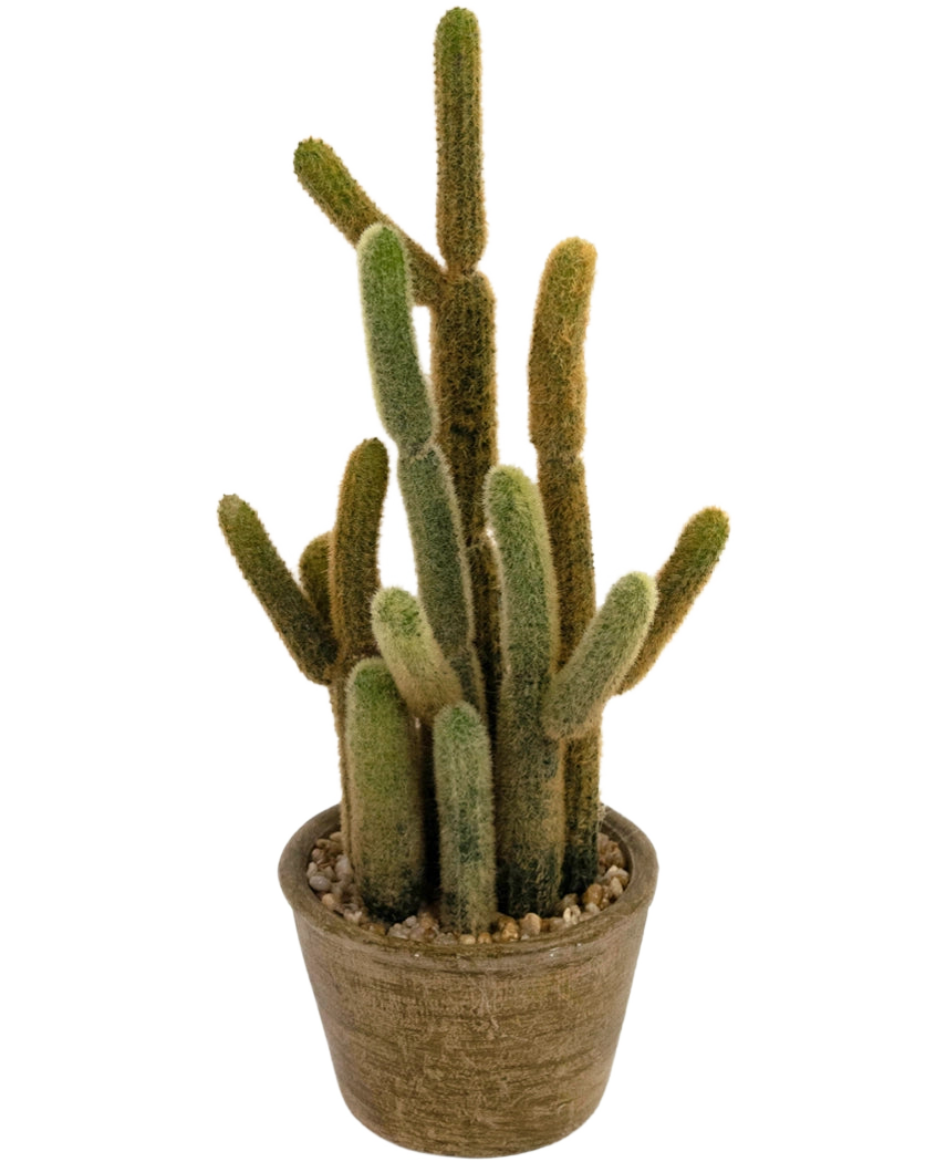 Der künstliche Kaktus Cereus 35 cm hat mehrere lange, flauschige grüne und braune Stängel, die in verschiedene Richtungen nach oben wachsen, in einem runden Topf mit Struktur und Dekosteinen.