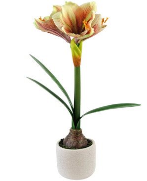 Die Kunstblume Amaryllis Real Touch Rot/Gelb 48 cm hat naturgetreue grüne Blätter und einen hohen Stiel mit trompetenförmigen roten und gelben Blüten, die vor einem weißen Hintergrund wunderschön präsentiert werden.