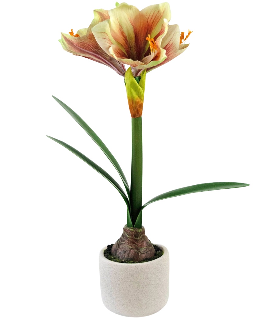 Die Kunstblume Amaryllis Real Touch Rot/Gelb 48 cm hat naturgetreue grüne Blätter und einen hohen Stiel mit trompetenförmigen roten und gelben Blüten, die vor einem weißen Hintergrund wunderschön präsentiert werden.