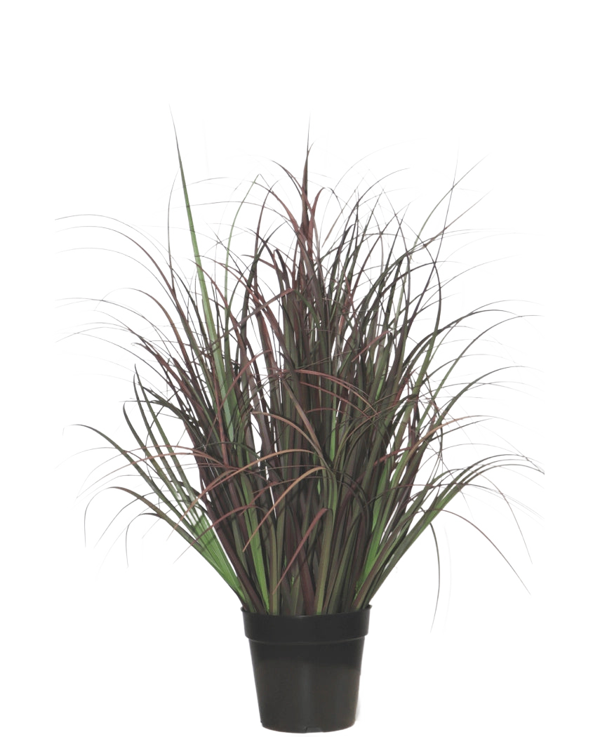 Die Kunstrasenpflanze Wild Lawn 70 cm, feuerhemmend, hat dunkelgrüne und rot-lila schmale Blätter in einem schwarzen Topf – perfekt als wartungsfreie Pflanze für jeden Innenraum.