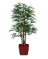 Die künstliche Palme Lady 180 cm ist eine hohe künstliche Palme mit mehreren grünen Blattstielen, die in einem glänzend roten quadratischen Pflanzgefäß vor einem schlichten weißen Hintergrund präsentiert wird.