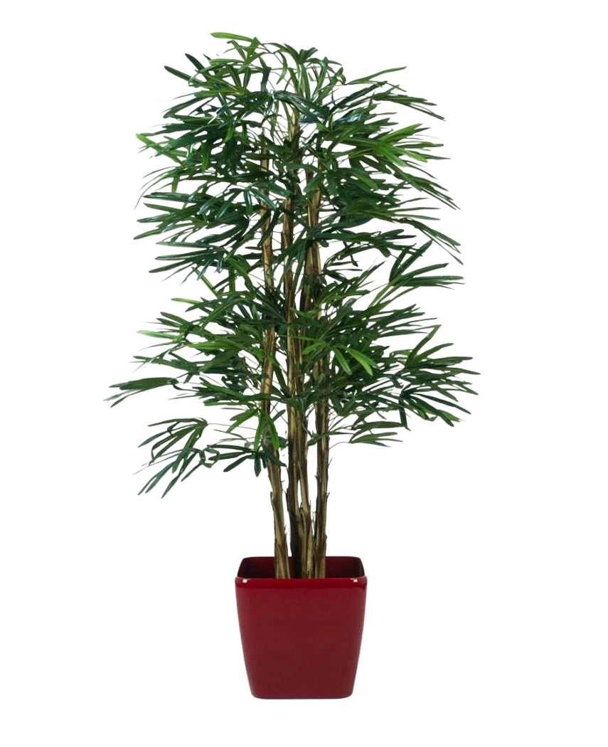 Die künstliche Palme Lady 180 cm ist eine hohe künstliche Palme mit mehreren grünen Blattstielen, die in einem glänzend roten quadratischen Pflanzgefäß vor einem schlichten weißen Hintergrund präsentiert wird.