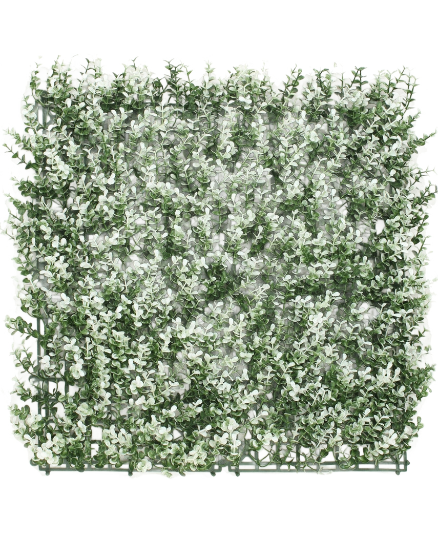 Die künstliche Buchsbaumhecke weiß 50x50 cm UV ist eine quadratische künstliche Buchsbaumplatte mit kleinen Blättern mit weißen Spitzen auf einem Kunststoffgitter, dargestellt auf einem weißen Hintergrund.