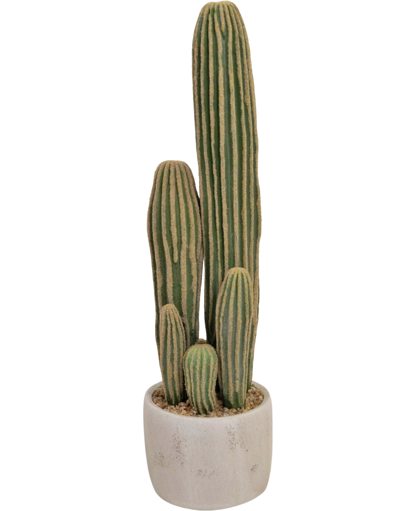 Der künstliche Kaktus 59 cm hat drei lange, grüne, gerippte Stängel unterschiedlicher Höhe in einem kleinen runden weißen Pflanzgefäß, dargestellt vor einem schlichten Hintergrund.