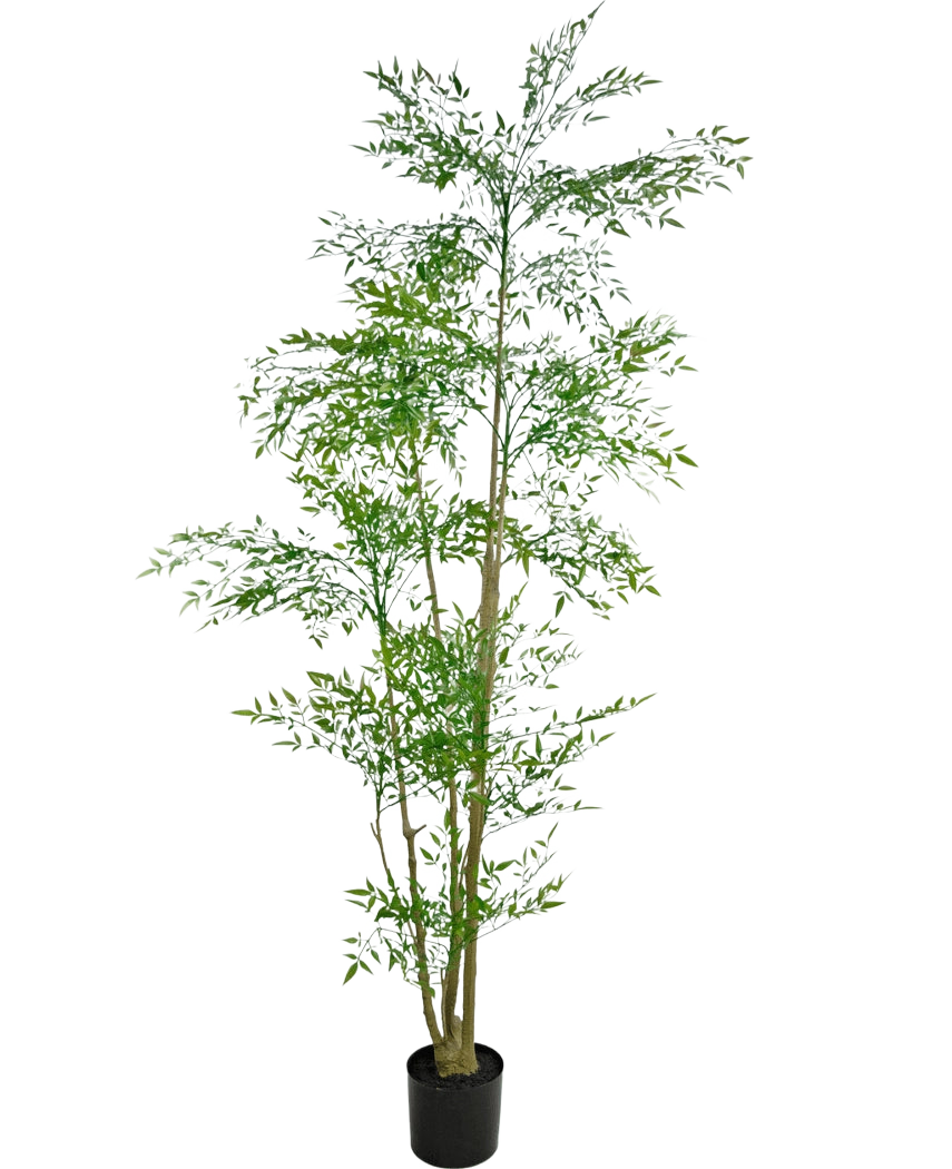 Der künstliche Ruscus 210 cm ist eine hohe Kunstpflanze mit schlanken grünen Blättern und mehreren dünnen, braunen Stielen in einem kleinen schwarzen Topf vor einem schlichten weißen Hintergrund.
