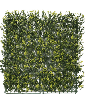 Die künstliche Hecke Buchsbaumgelb 50 x 50 cm UV ist eine quadratische Platte aus dichtem künstlichem grünem Laub mit gelben Blättern, die einer Hecke oder Gartenmauer vor einem schlichten weißen Hintergrund ähneln soll.