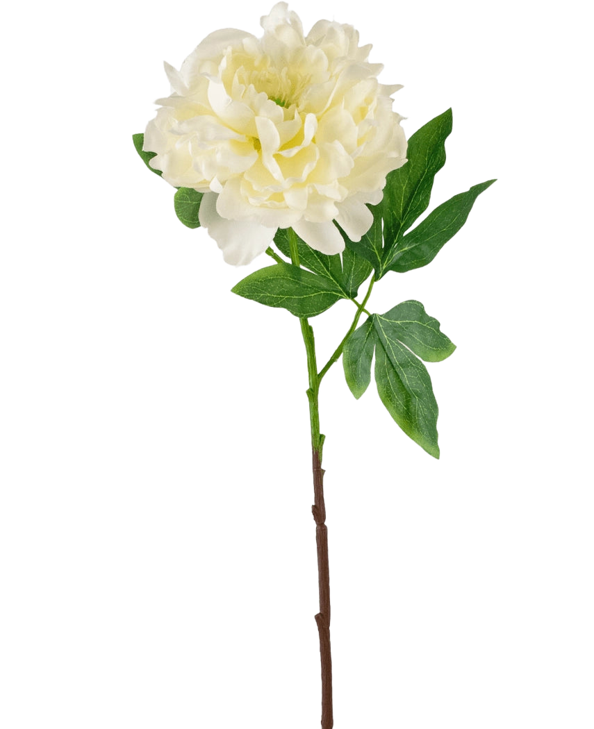 Die künstliche Pfingstrose 61 cm weiß ist eine künstliche weiße Pfingstrose mit geschichteten Blütenblättern und grünen Blättern auf einem langen braunen Stiel, dargestellt vor einem schlichten weißen Hintergrund.