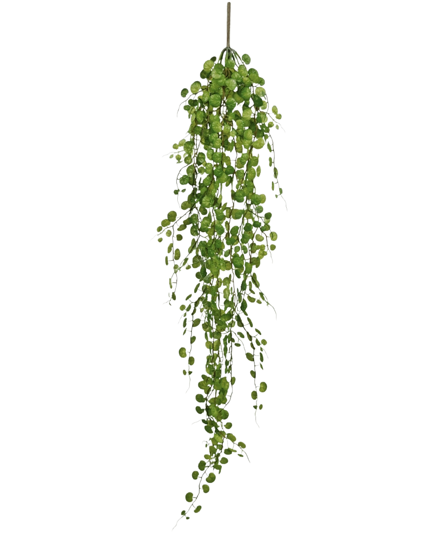 Die künstliche Hängepflanze Pumila 100 cm hat eine lange, gewundene Ranke mit kleinen, runden grünen Blättern, die an einem einzigen Stiel hängen, vor einem schlichten weißen Hintergrund.