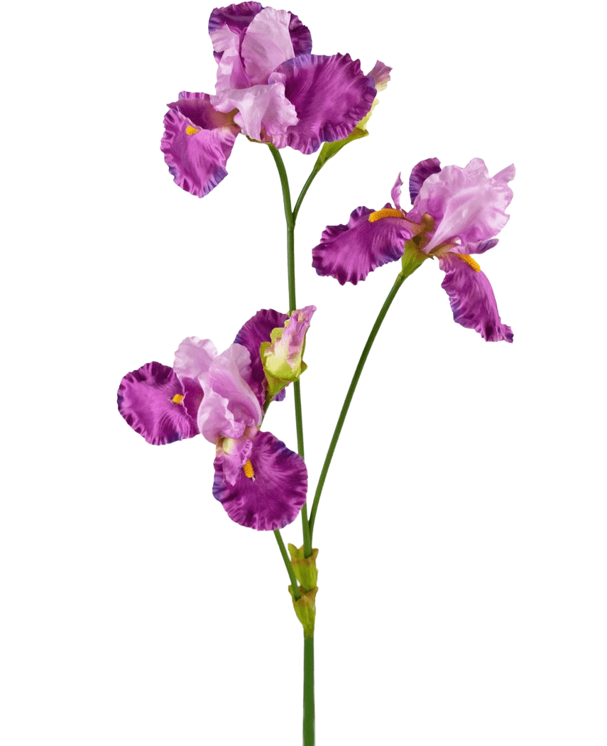 Die künstliche Blume Iris 102 cm lila hat einen langen grünen Stiel, der mit mehreren leuchtend lila und weißen Irisblüten verziert ist, jeweils mit Rüschen auf den Blütenblättern und gelben Akzenten, vor einem schlichten weißen Hintergrund.