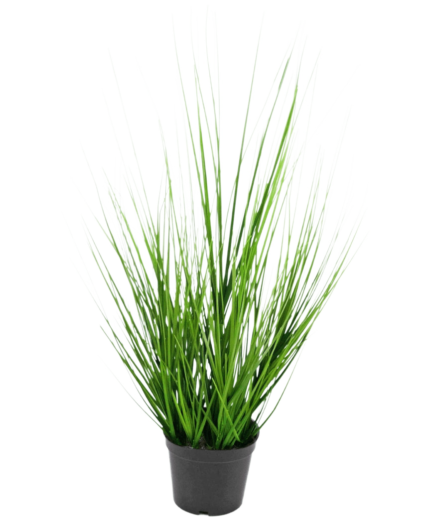 Die feuerhemmende Kunstrasenpflanze Zwiebel 48 cm ist ein kleiner schwarzer Kunststofftopf mit langen, dünnen, leuchtend grünen, grasähnlichen Blättern vor einem schlichten weißen Hintergrund.