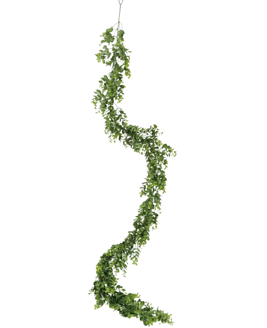 Die künstliche Rankenpflanze Pumila 182 cm hat eine lange, gewundene grüne Ranke mit kleinen Blättern, die vertikal vor einem schlichten weißen Hintergrund hängt.