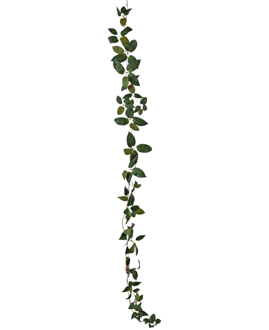Die Art Tradescantia Garland Green 180 cm ist eine einzelne grüne Blattranke, die vertikal vor einem schlichten weißen Hintergrund abgebildet ist.