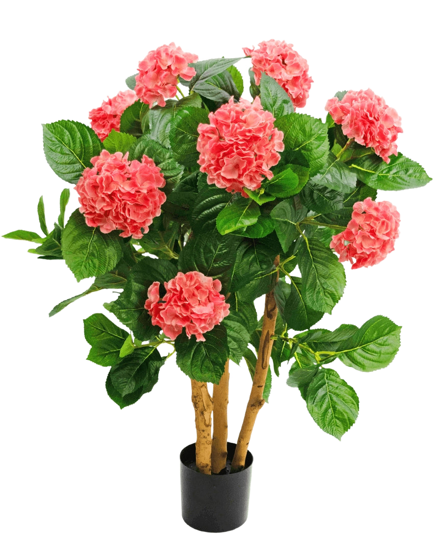 Die künstliche Hortensie UV 85 cm rosa hat mehrere Stiele, breite grüne Blätter und rosa Hortensienblüten in einem schwarzen Topf, was für einen lebendigen Kontrast und ein naturgetreues Aussehen sorgt.