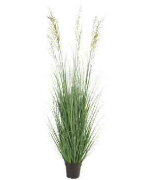 Die feuerhemmende Kunstrasenpflanze Weizen 180 cm hat lange, schlanke grüne Halme und drei spitzenförmige Samenköpfe in einem kleinen schwarzen Topf – ideal für einen Luxusgarten, völlig wartungsfrei und feuerhemmend. Wird vor einem schlichten weißen Hintergrund angezeigt.